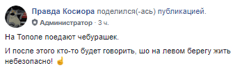 В Днепре на Тополе продают чебурашек с мясом. Новости Днепра