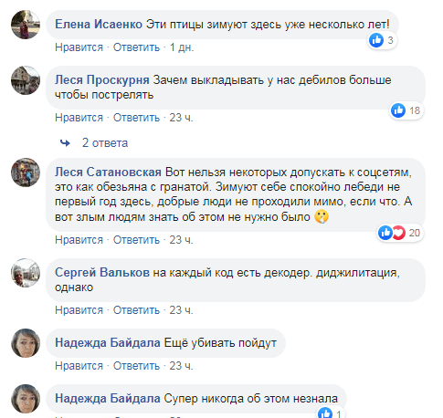 Под Днепром зимует благородное семейство. Новости Днепра