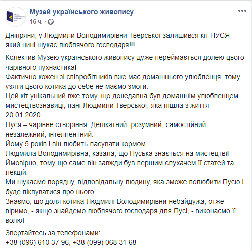 В Днепре новый дом ищет кот безвременно ушедшей Людмилы Тверской