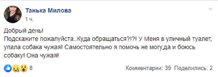 В Днепре спасли собаку, которая упала в туалет. Новости Днепра