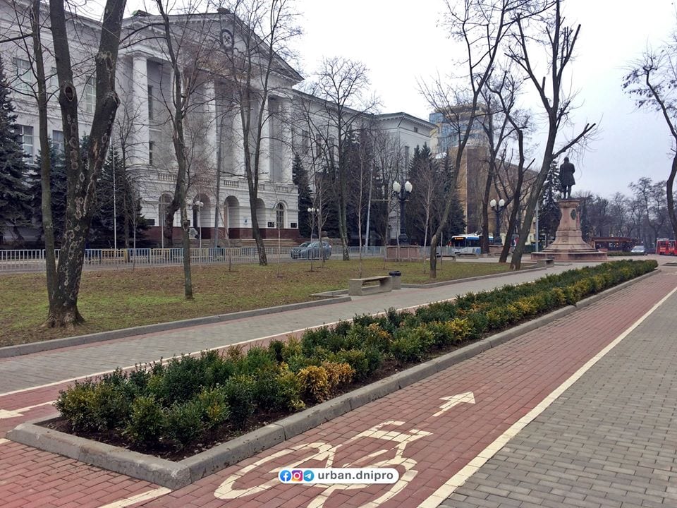 В Днепре зимой появился новый зеленый оазис. Новости Днепра