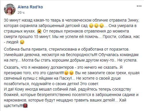 В Днепре отравили собаку, охранявшую детский сад 