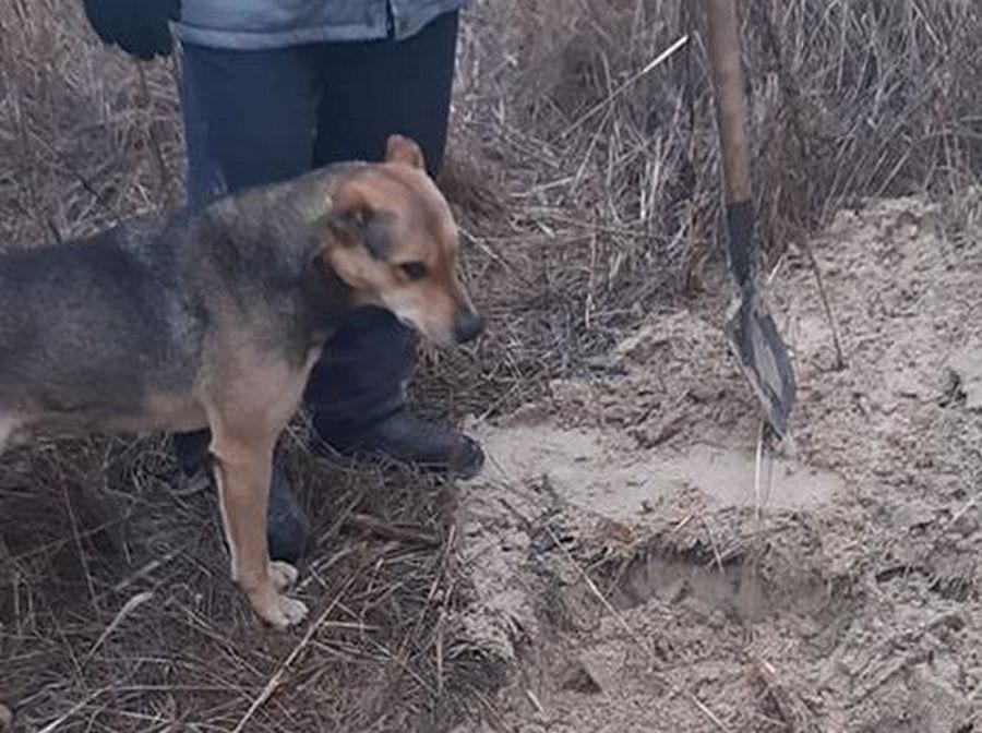 В Днепре простились с Найдочкой (Видео/фото). Новости Днепра