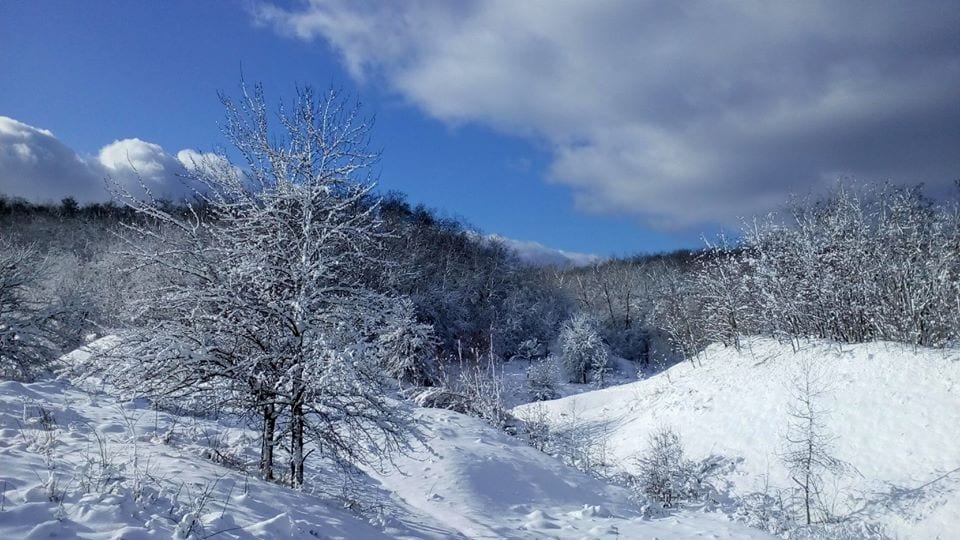 В Днепре есть собственные Карпаты: красота неописуемая (Фото)