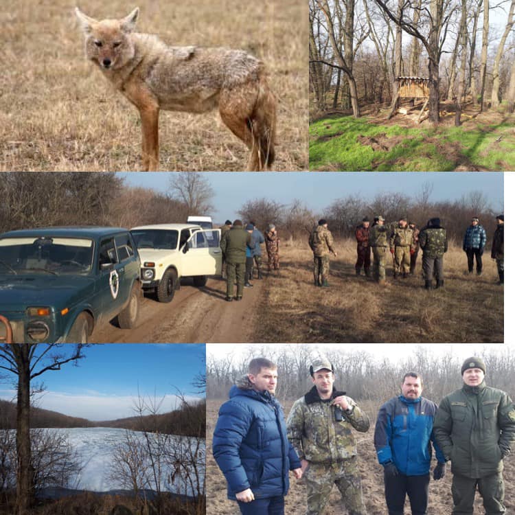 Обнаружен смертельно опасный хищник. Новости Днепра