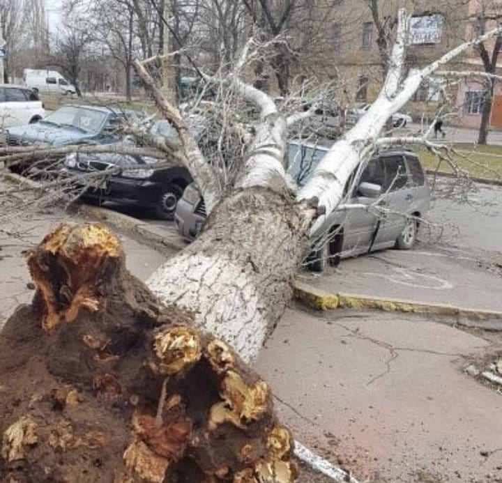 Циклон "Юлия" в Украине, последствия, фото, видео