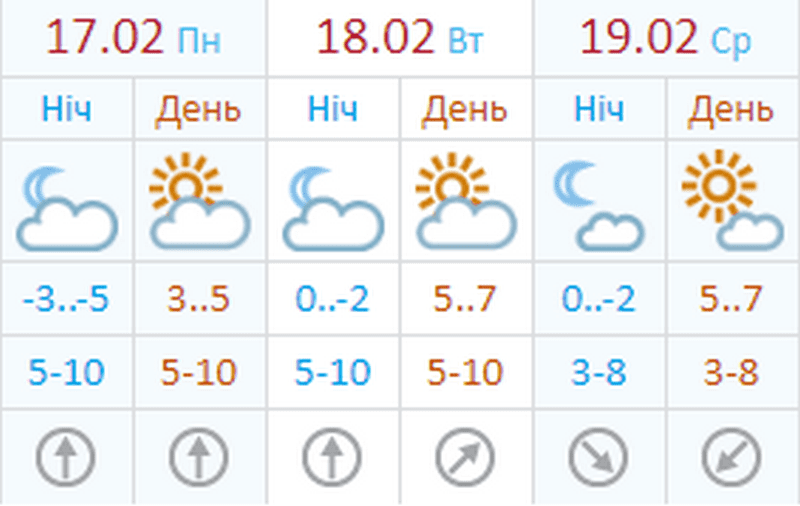 Запахло весной: аномальное тепло возвращается в Днепр