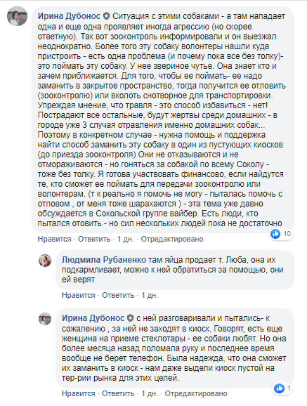 В Днепре бездомные собаки держат в страхе весь ж/м Сокол. Новости Днепра