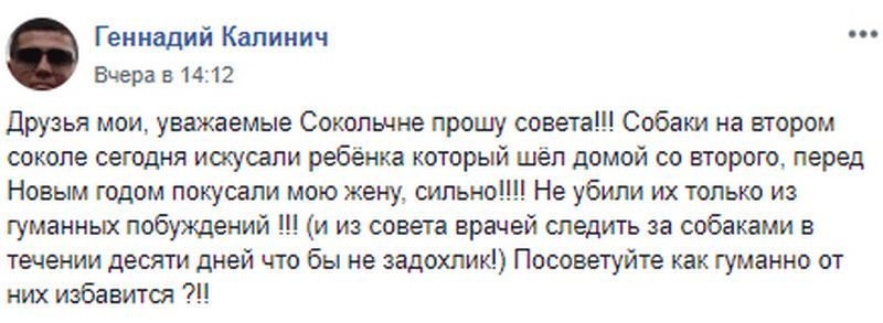 В Днепре бездомные собаки держат в страхе весь ж/м Сокол. Новости Днепра