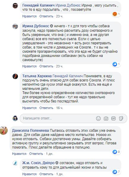 В Днепре бездомные собаки держат в страхе весь ж/м Сокол. Новости Днепра