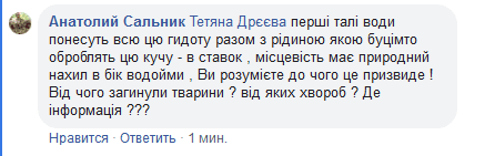 Возле трассы Днепр - Кривой Рог гниют тонны дохлых кур