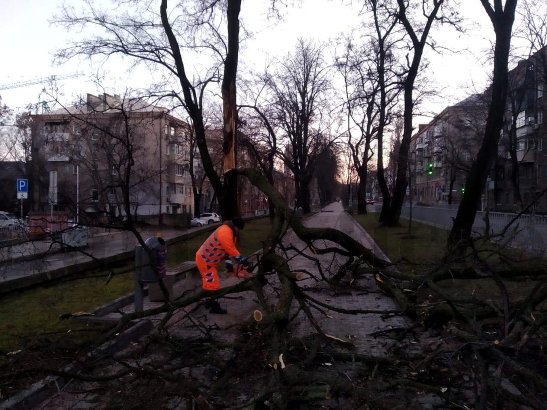 В Днепре коммунальщики ликвидируют последствия сильного ветра