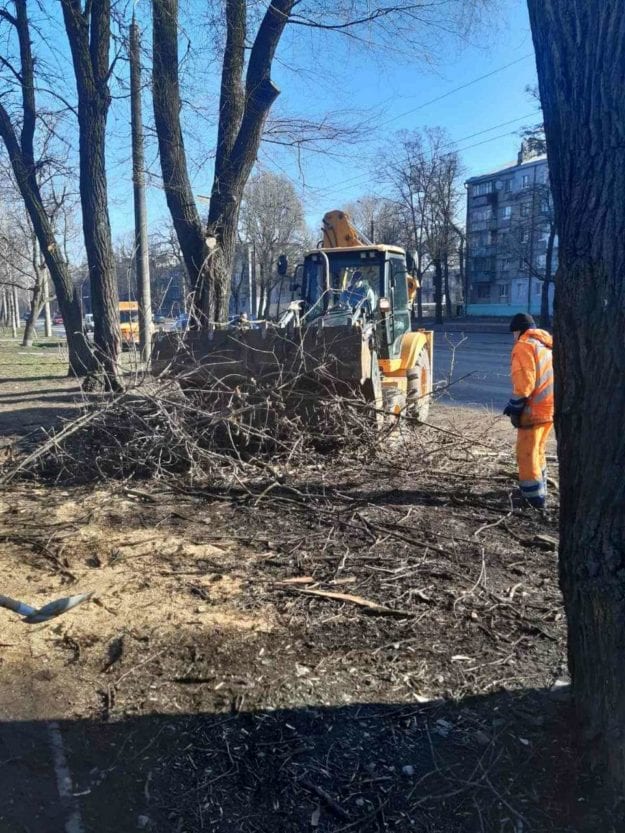 В Днепре коммунальщики ликвидируют последствия сильного ветра