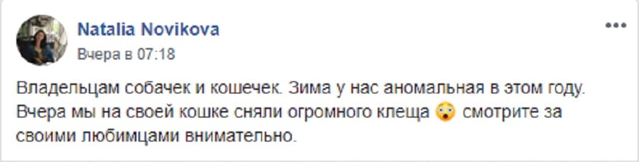 Новые жертвы: в Днепре зимой разбушевались клещи Новости Днепра