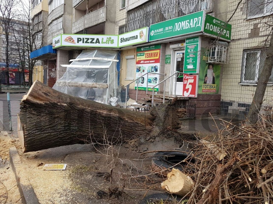 Лучше сидите дома: начался деревопад. Новости Днепра