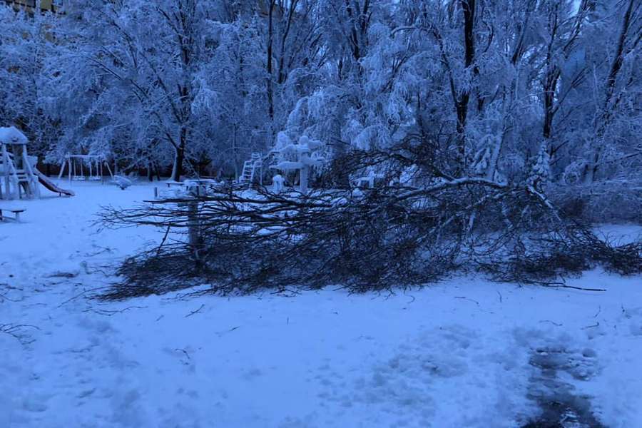 В Днепр пришла зима: последствия снегопада. Новости Днепра