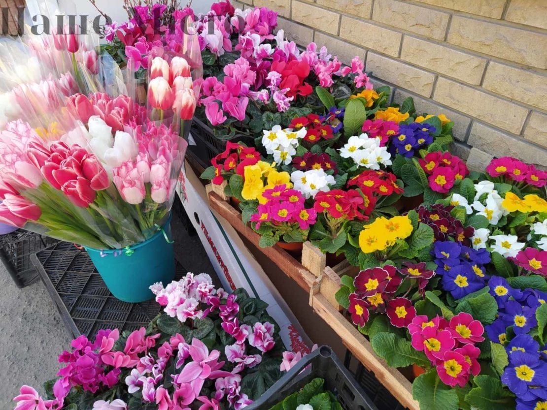 Цветы на 8 марта, цены зашкаливают. Новости Днепра