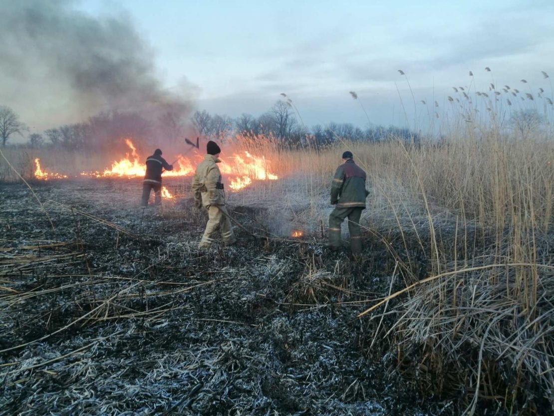 Под Днепром женщина из-за листьев сожгла 2 гектара. Новости Днепра