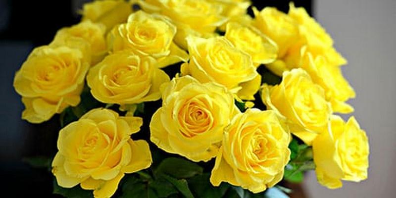 Почему девушкам нельзя дарить желтые цветы