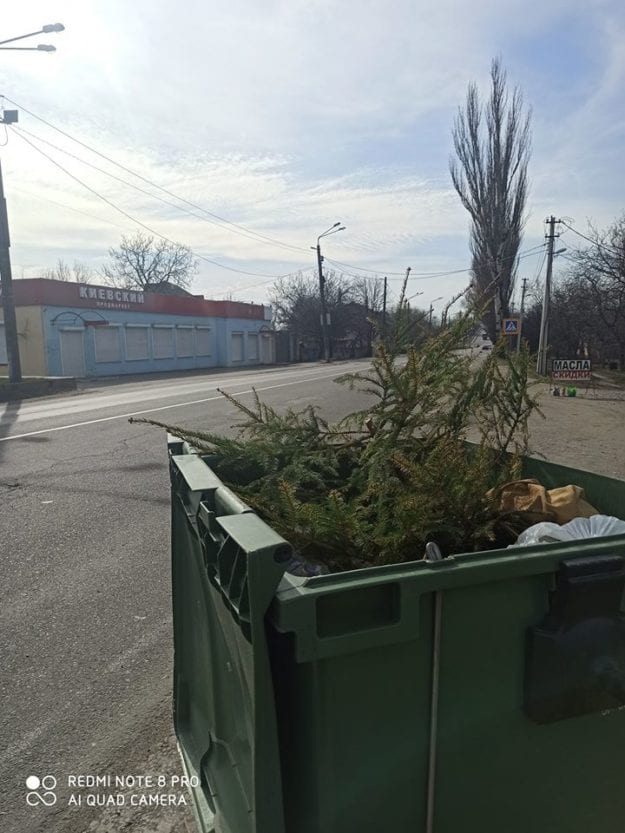 В Днепре новогоднюю елку выбросили в мусорный бак. Новости Днепра