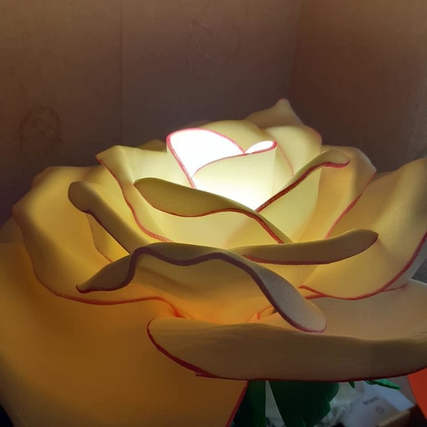 В Днепре умелица создает гигантские светящиеся цветы (Фото)