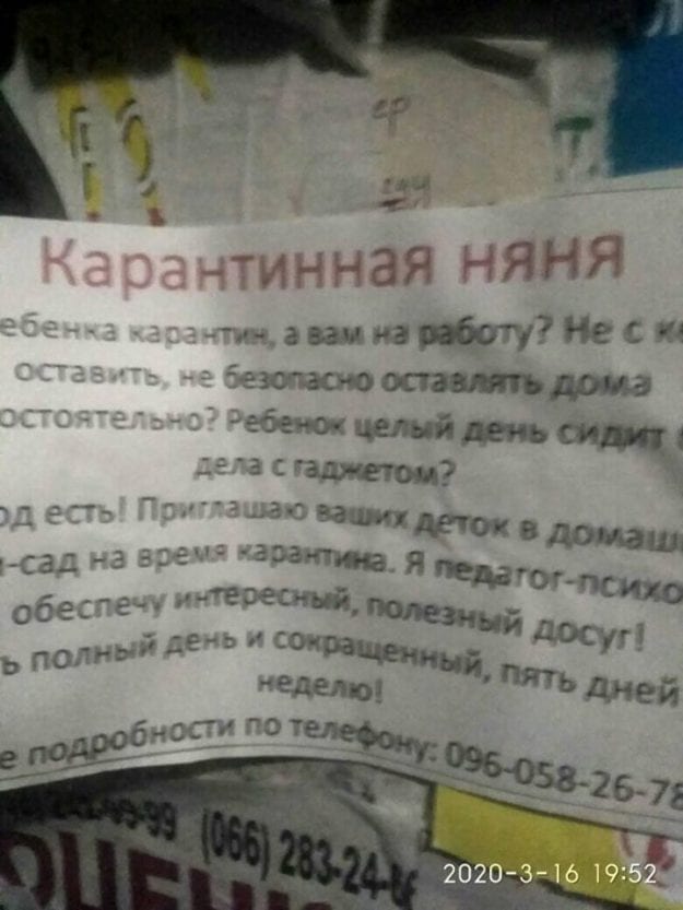 В Днепре появилась "Карантинная няня". Новости Днепра