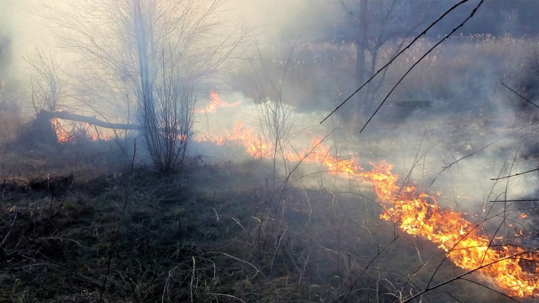 В Таромском устроили огромный пожар (Фото). Новости Днепра