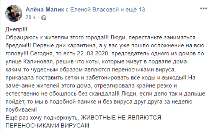 В Днепре котов замуровали в подвале 