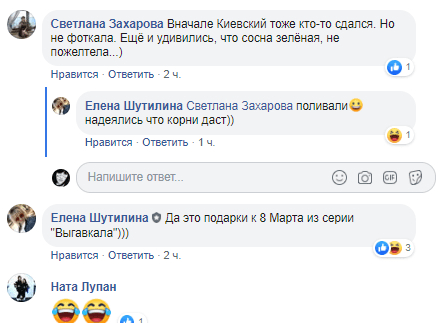 В Днепре новогоднюю елку выбросили в мусорный бак. Новости Днепра