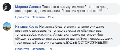  Вклещ Днепре боятся нашествия "кровопийц". Новости Днепра