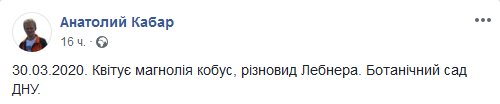 В Днепре в ботсаду ДНУ цветет магнолия Новости Днепра