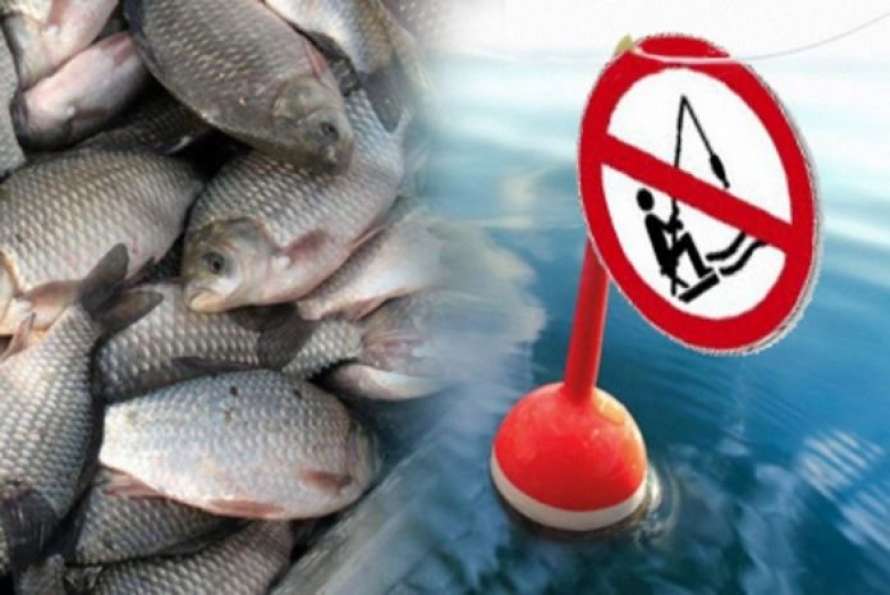 В Днепропетровской области запретят ловить рыбу. Новости Днепра
