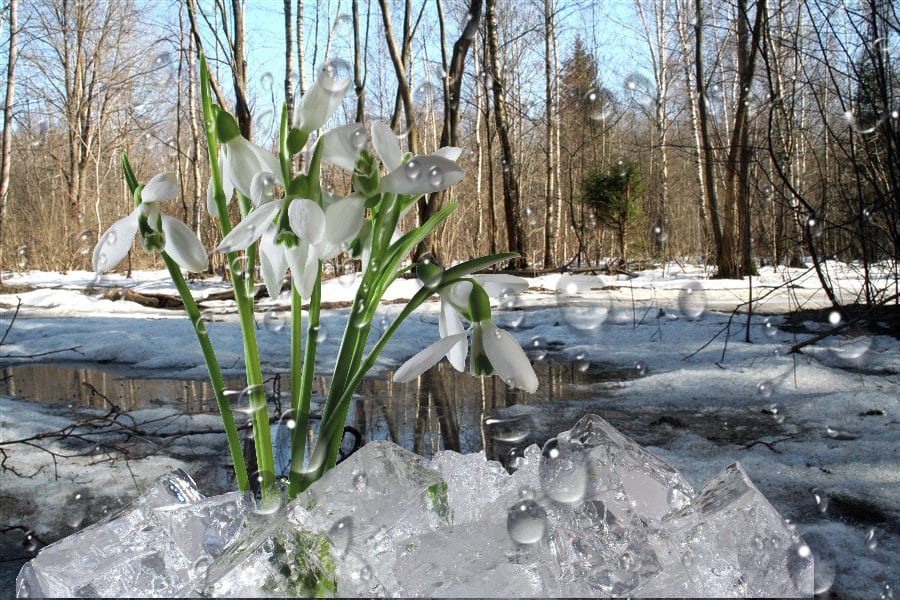 23 марта Василиса - вешней воды указательница: приметы, традиции