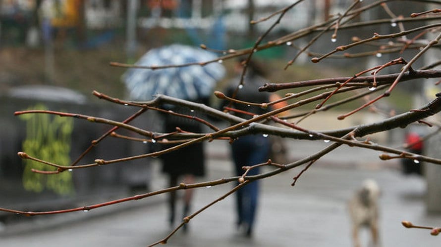 В Украину идут дожди и похолодание | прогноз погоды | 10.04.20 |