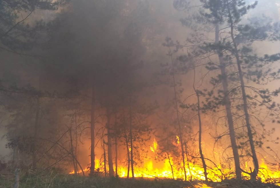 В Днепропетровской области тушили пожар 13 часов (Фото, видео)
