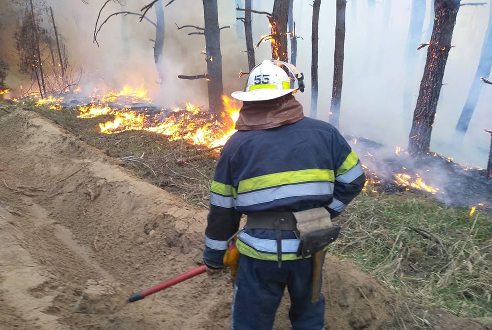 В Днепропетровской области тушили пожар 13 часов (Фото, видео)