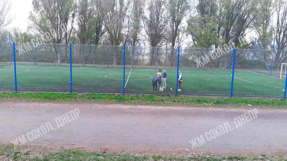 В Днепре собак выгуливают на футбольном поле. Новости Днепра