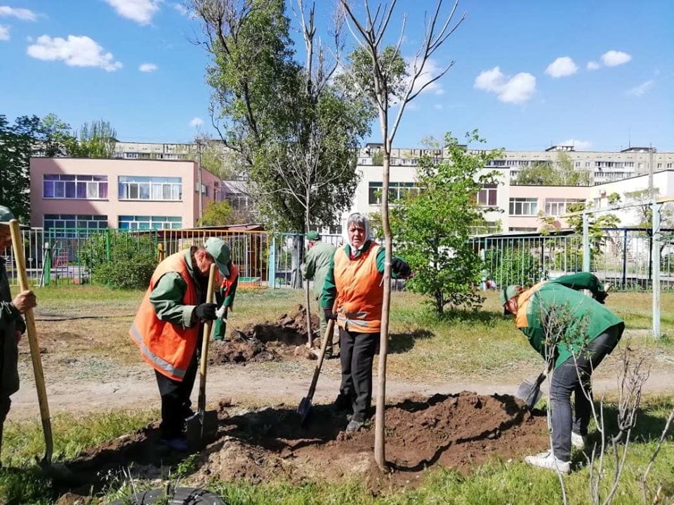 На  Парусе высадили сотни саженцев рябины и катапльпы. Новости Днепра