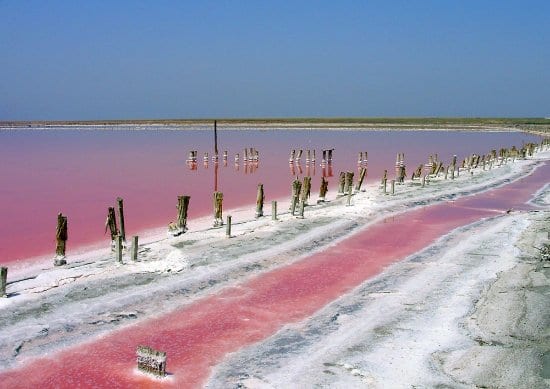 Розовое озеро на Азовском море: невероятные марсианские пейзажи