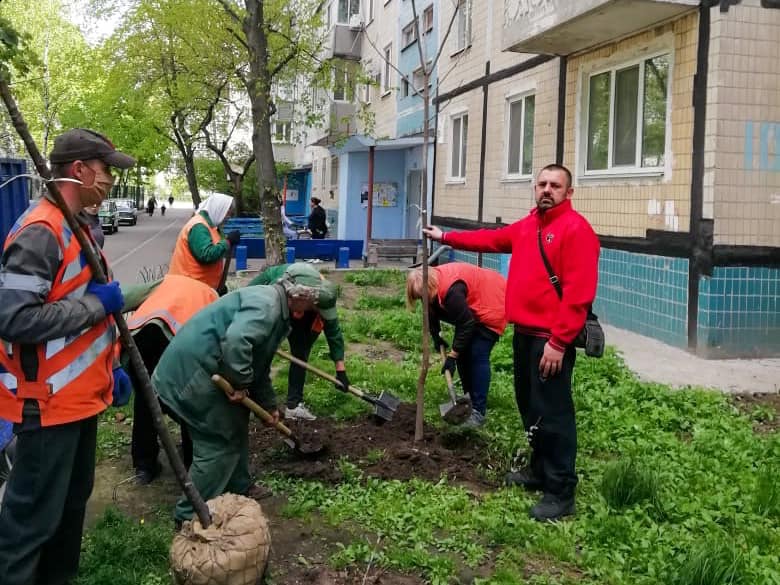 На  Парусе высадили сотни саженцев рябины и катапльпы. Новости Днепра