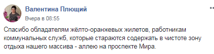 В Днепре желто-оранжевые жилеты стоят на страже. Новости Днепра