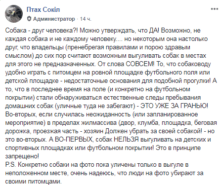 В Днепре собак выгуливают на футбольном поле. Новости Днепра