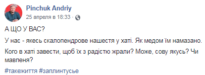 Под Днепром ядовитые сколопендры лезут в дом. Новости Днепра