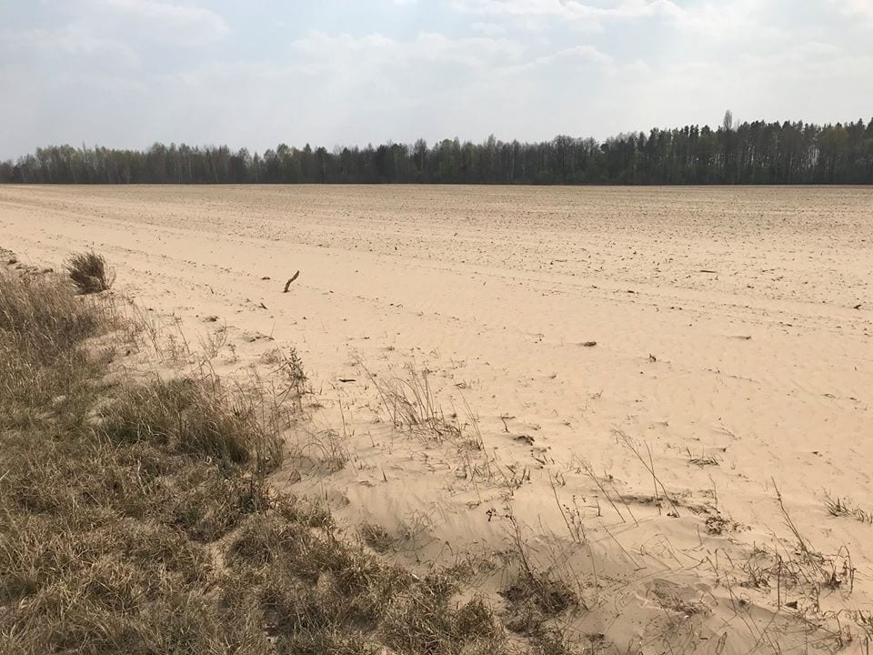 Песчаная буря образовала в Украине свою пустыню