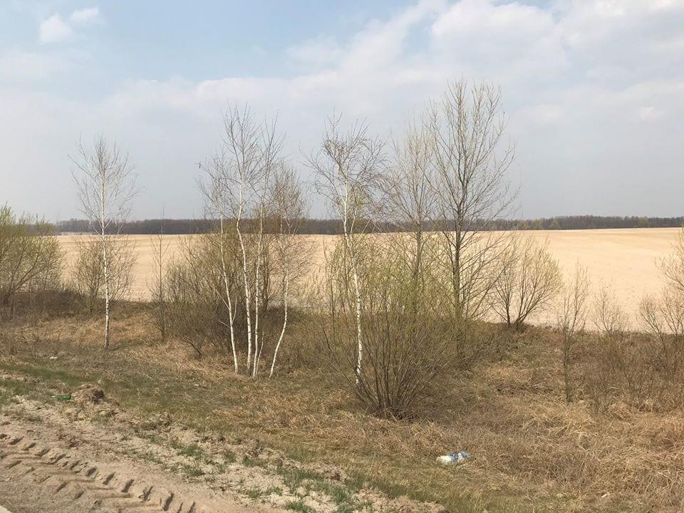 Песчаная буря образовала в Украине свою пустыню
