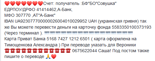 В Днепре спасают обгоревшую на сеновале Веронику. Новости Днепра