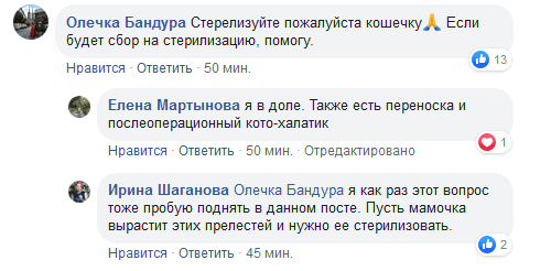 Кошкин домик на Калиновой стал роддомом. Новости Днепра