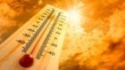 2020 год может стать самым жарким за всю историю, - метеорологи