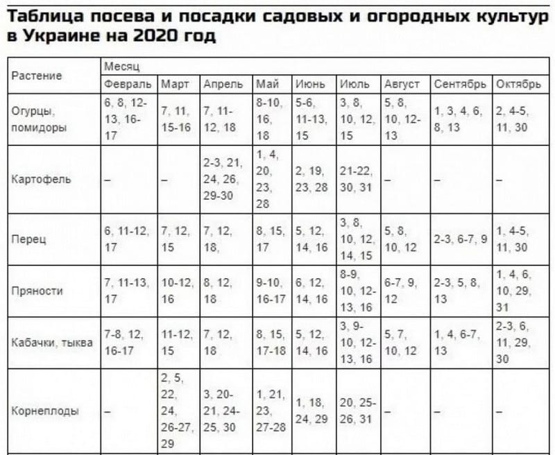 Посевной календарь на май 2020: когда высаживать рассаду (Фото)