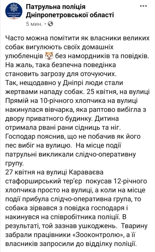 В Днепре сильно пострадали двое детей и полицейский. Новости Днепра